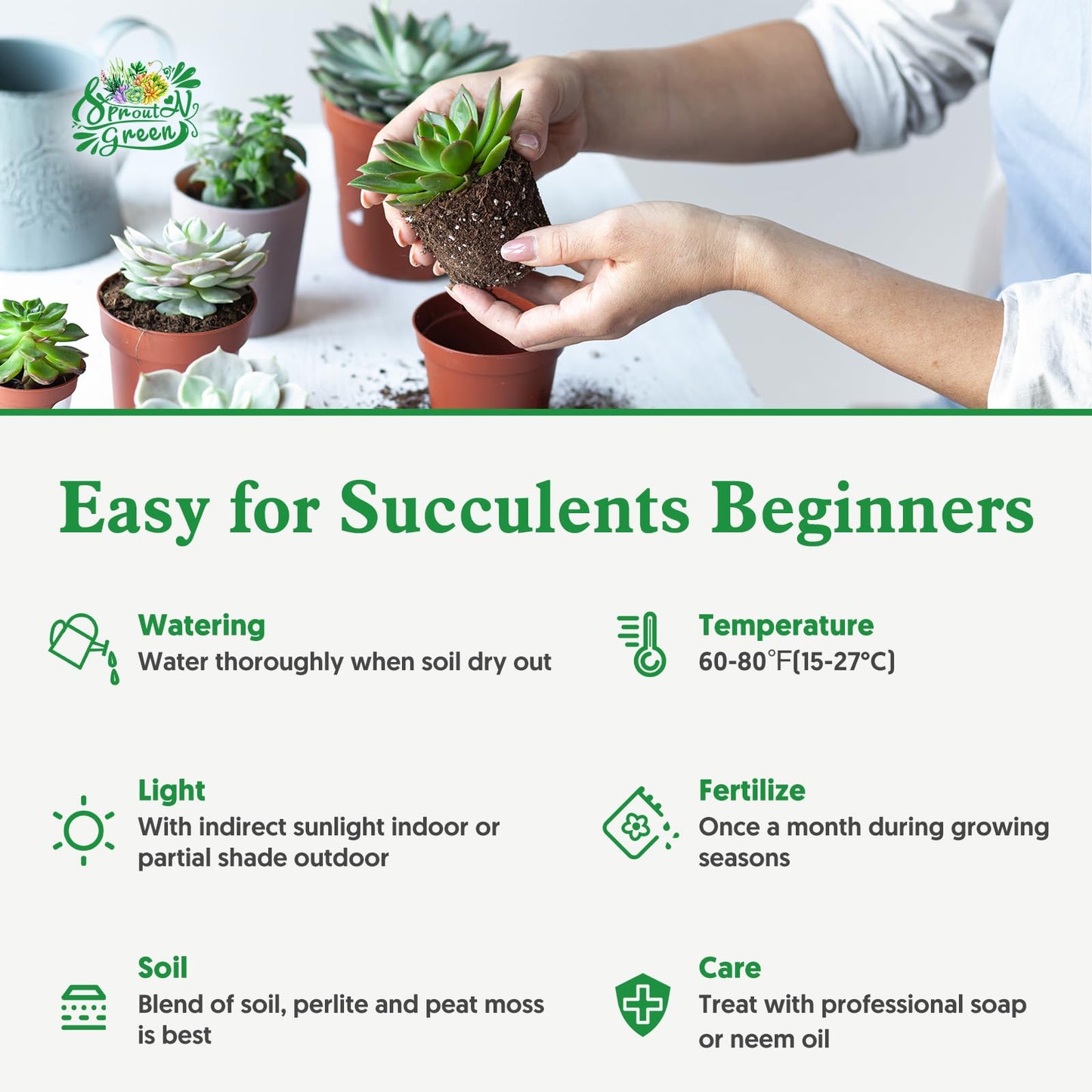 Sprout N Green Baby Toes, Live Succulent Fenestraria rhopalophylla Fully Rooted in 4 inch Nursery Pot, House Plant Home Office Wedding Decoration DIY Projects Party Favor Baby Shower