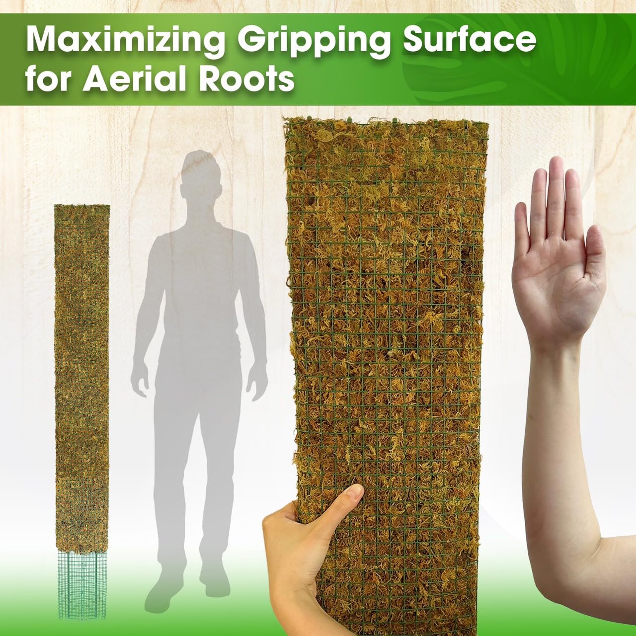 DUSPRO 59’’ Flat Mesh Moss Poles for Climbing Plants Monstera Flat Stacks for Tall Plant with Real Moss Moss Pole for Indoor Plants Plant Stick Support Tall Indoor Plants Support Stakes (1pc., 59'')