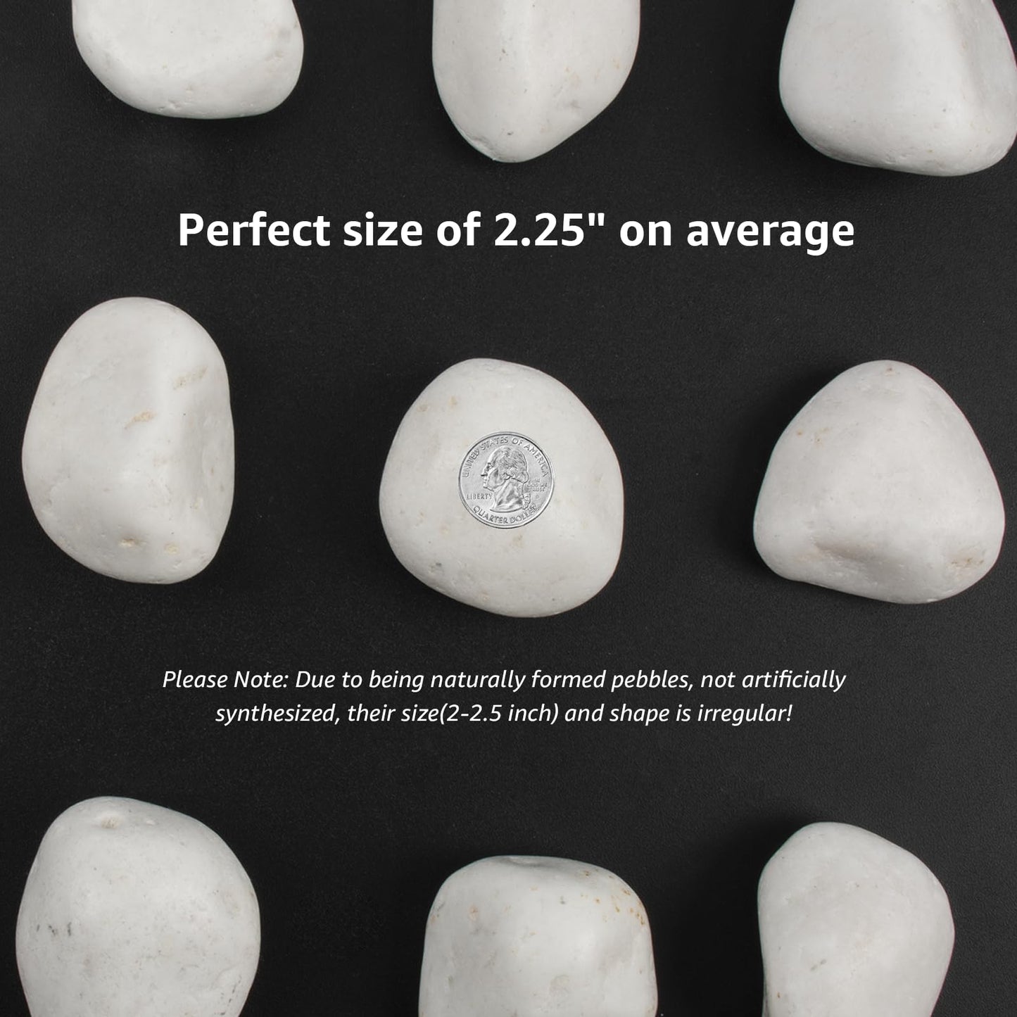 10lbs White Natural River Rocks, Polished Pebbles for Plants Garden, 2-3 inch Decorative White Stones, Ideal for Fish Tank, Vases, Crafting, Home Decor and Garden Landscaping Rocks