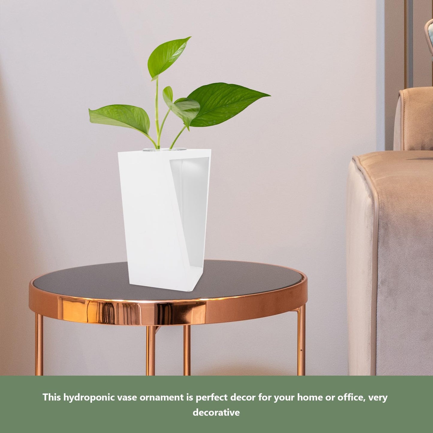 DOITOOL Test Tube Plant Vase with White Wooden Rack, Small Glass Propagation Terrarium Container for Indoor Hydroponic Plants and Home Décor
