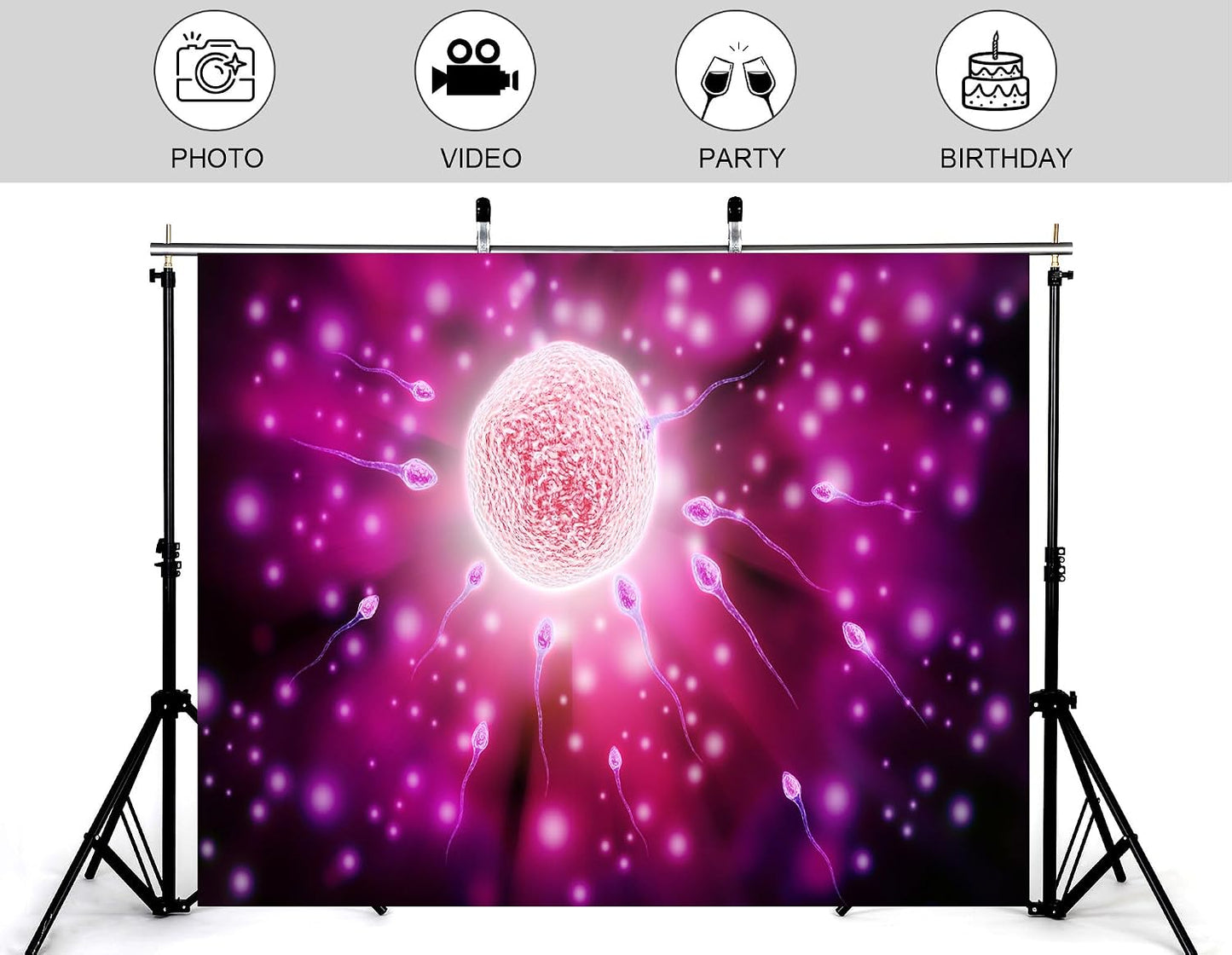 KeyWork 8x5ft Fertilization Science Illustration Backdrop Reproductive Biology Photography Background for Health Fair