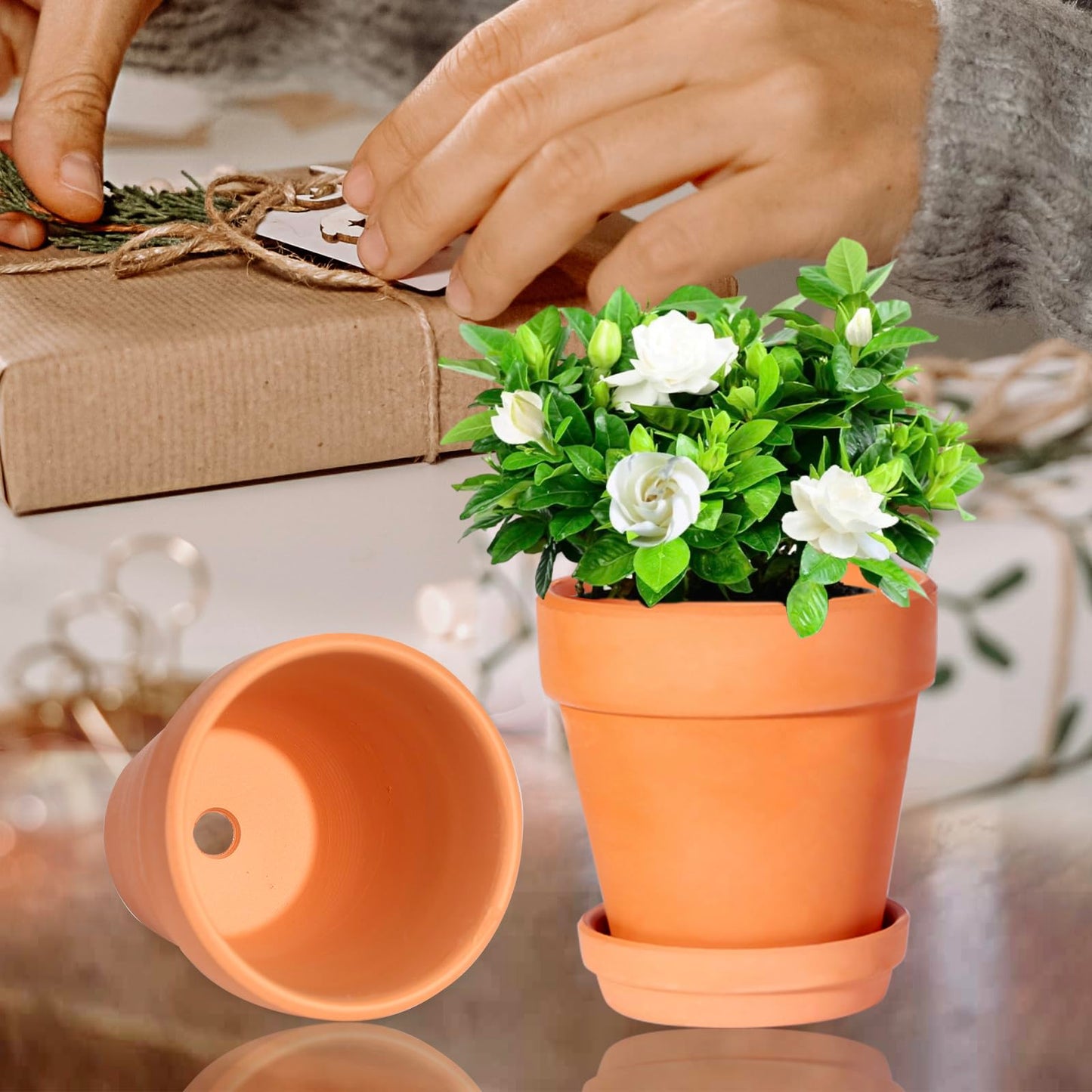 Kosrtuny 3 Inch Terracotta Pots with Saucer-20 Pack Succulent Cactus Plant Pots with Drainage Hole, Great for Plants Garden Windowsill Indoor & Outdoor Wedding Favors Gifts