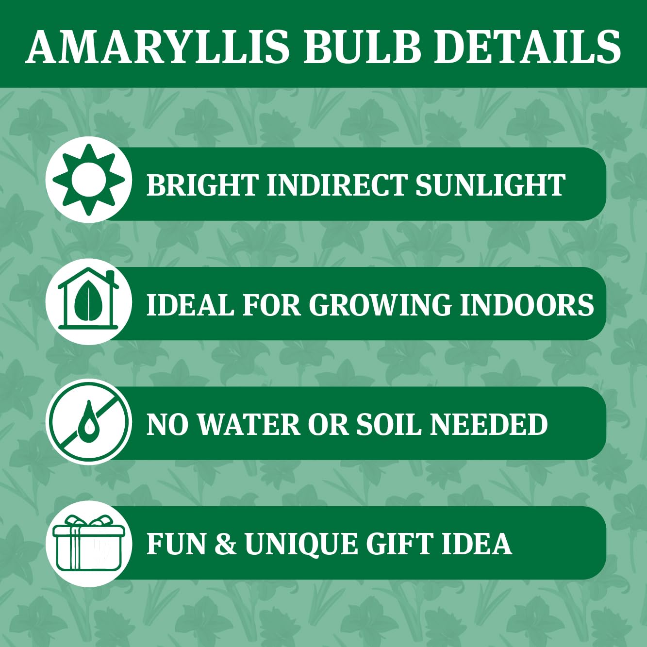 Hugs and Kisses Waxed Amaryllis Flower Bulb with Stand, No Water Needed