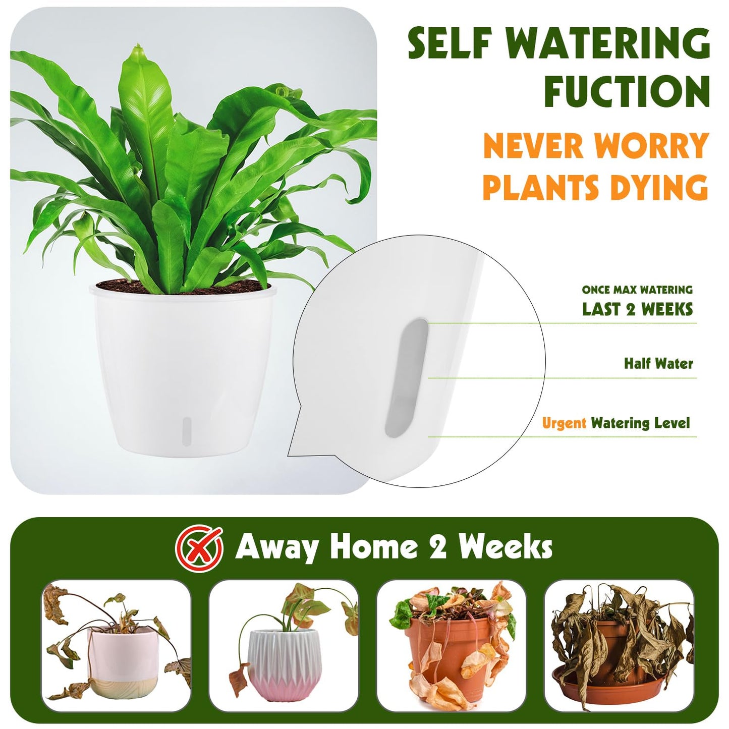KvyusFlourish Self Watering Pots for Indoor Plants, 8-Pack 5'' Self Watering Planter with Drainage Holes, Small African Violet Pots with Water Level Indicator, Clear Wick Pot, White/Black