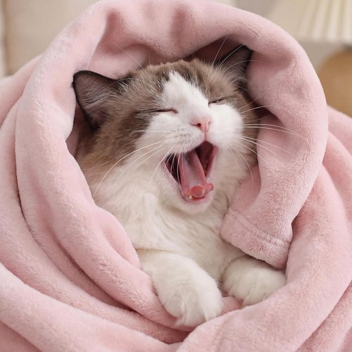 Bedsure GentleSoft Pink Fleece Blanket - Soft, Lightweight Plush Queen Size, 90x90 Inches for Cozy Luxury
