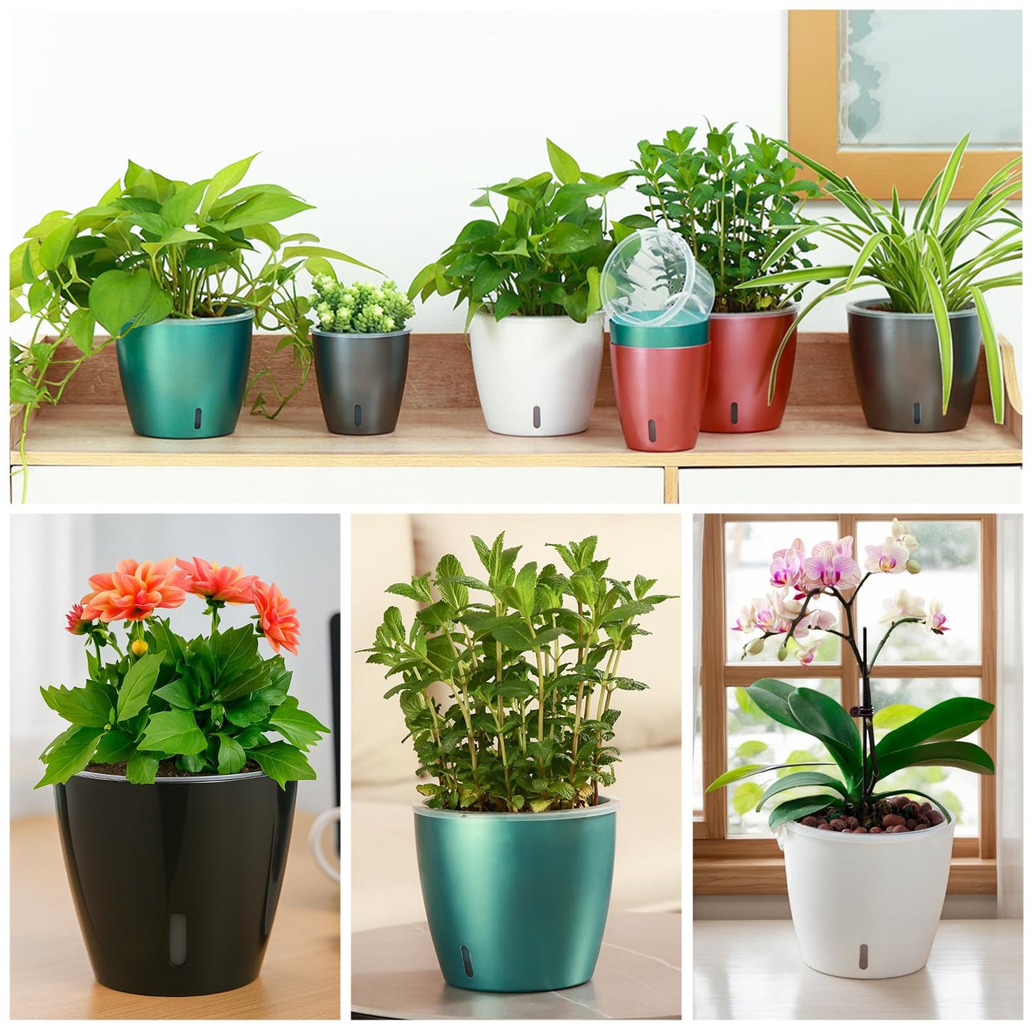KvyusFlourish Self Watering Pots for Indoor Plants, 8-Pack 5'' Self Watering Planter with Drainage Holes, Small African Violet Pots with Water Level Indicator, Clear Wick Pot, White/Black