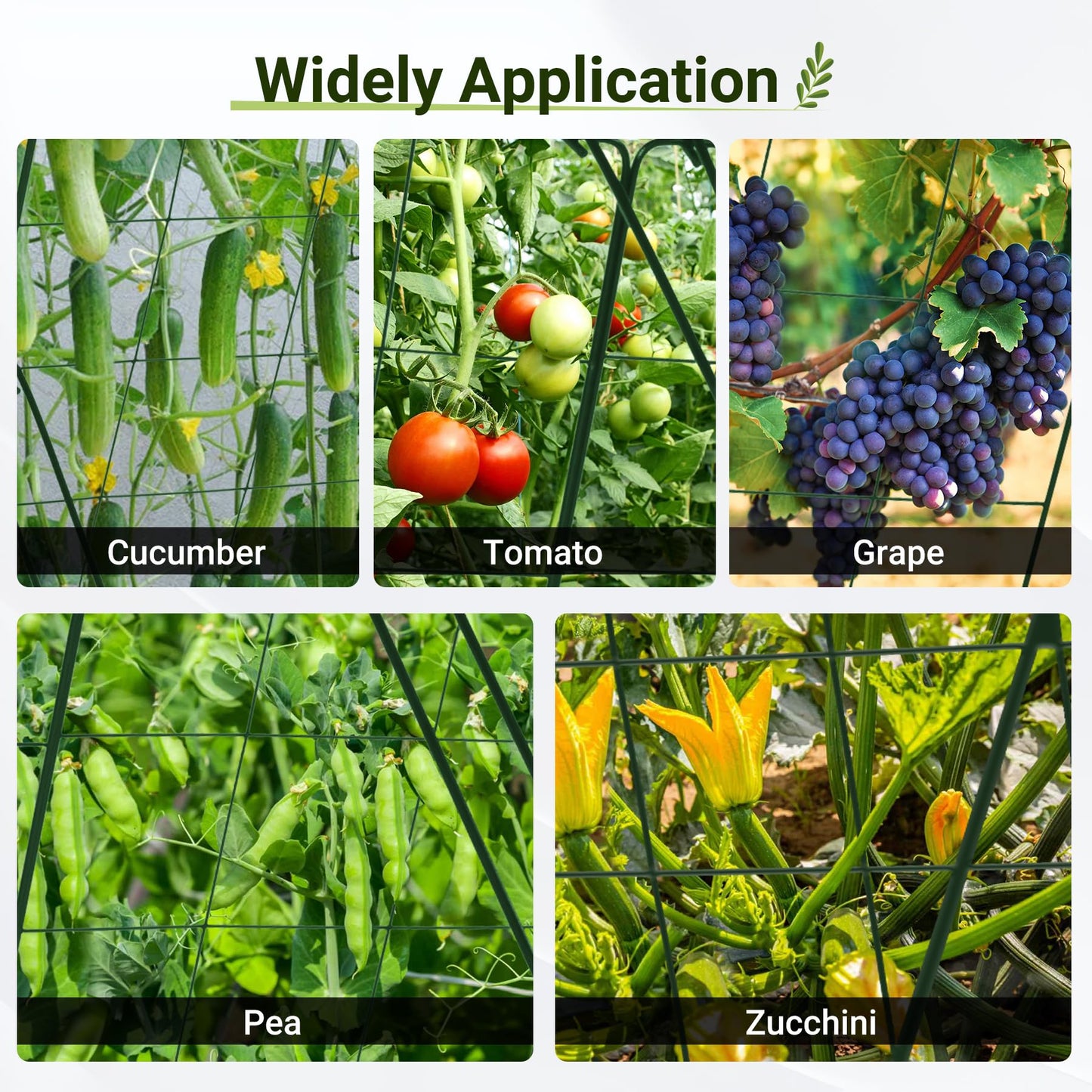 Toriexon Cucumber Trellis for Garden - 2 Pack, 48" L x 24" W Garden Trellis for Climbing Plants Outdoor with Support Structures, A Frame Trellis for Climbing Vegetables Peas, Vine, Bean