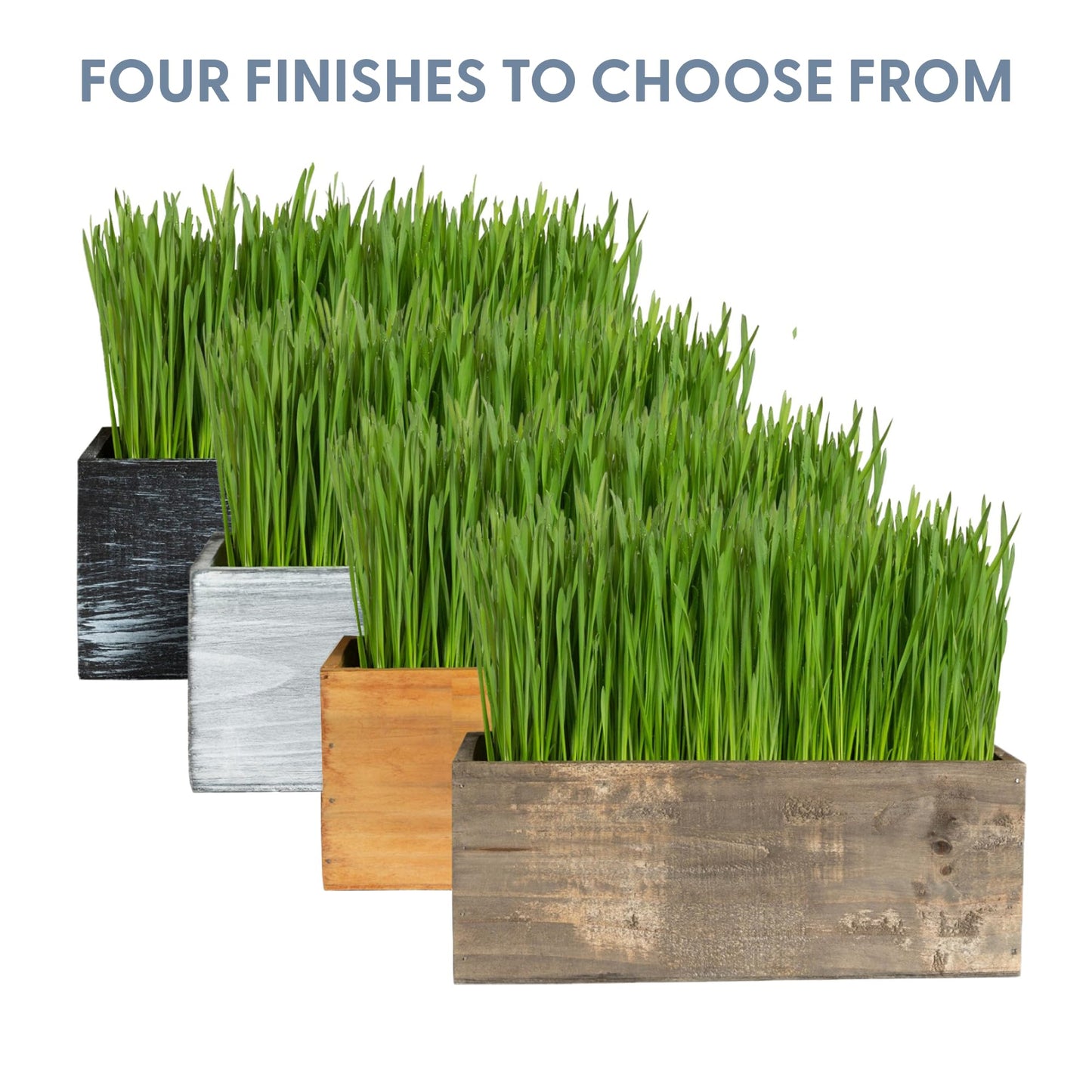 The Cat Ladies Cat Grass Kit with Rustic Wood Planter, Seed and Soil. Easy to Grow for Indoor or Outdoor Cats, Dogs and Other Pets. Prevent Hairballs and Aid Digestion