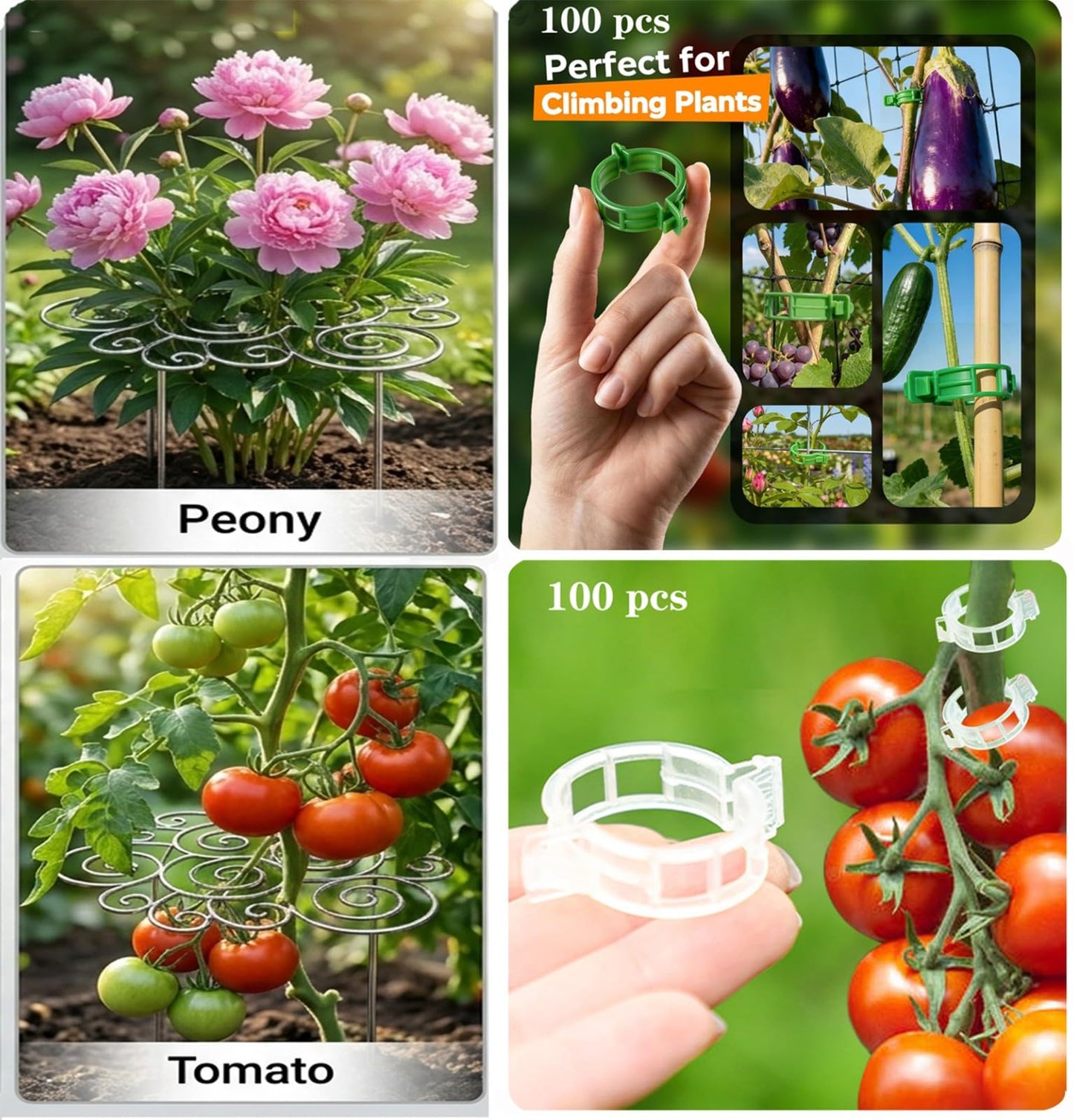 Metal Plant Support Ring, Plant Support for Garden, Peony Cage Stand, Rustproof Silver Metal Grow Through, 200PCS Plant Support Clips, Outdoor Indoor Pots Peony Dahlia Cage Tomato 1pcs,Medium