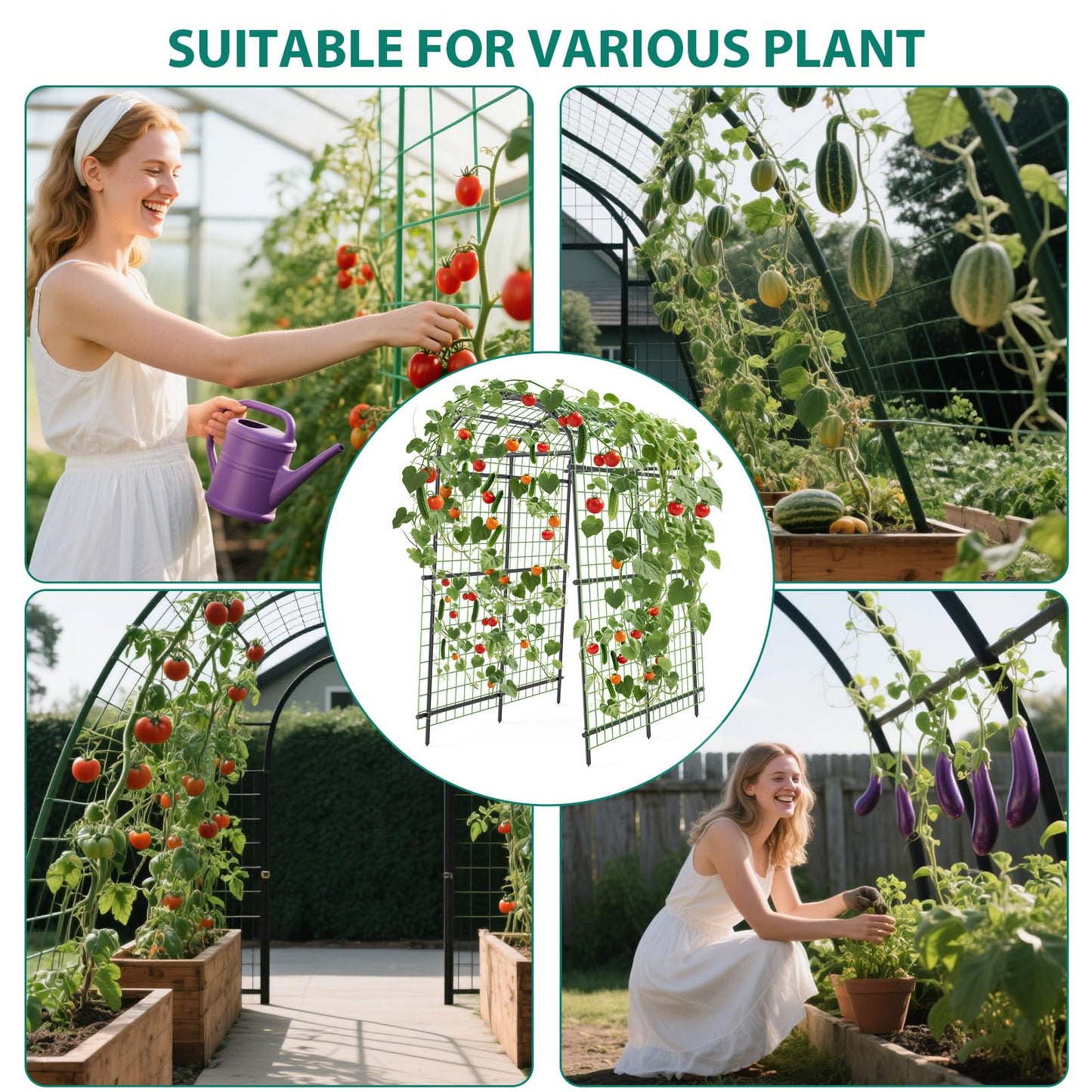 7.3 ft Metal Garden Arch Trellis, Plant Support for Raised Beds, PE and Iron Trellis for Cucumbers and Climbing Vegetables