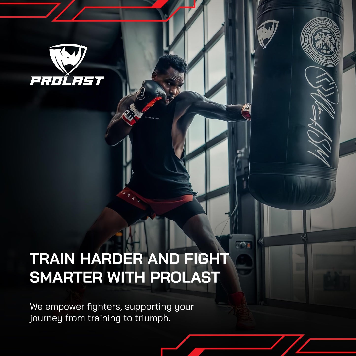 PROLAST Punching Bag for Experienced and Beginners, Boxing, MMA, Martial Arts, Muay Thai Training Equipment, Hanging, Filled, 3ft, 50 lbs, Rhino Logo, Black/Black
