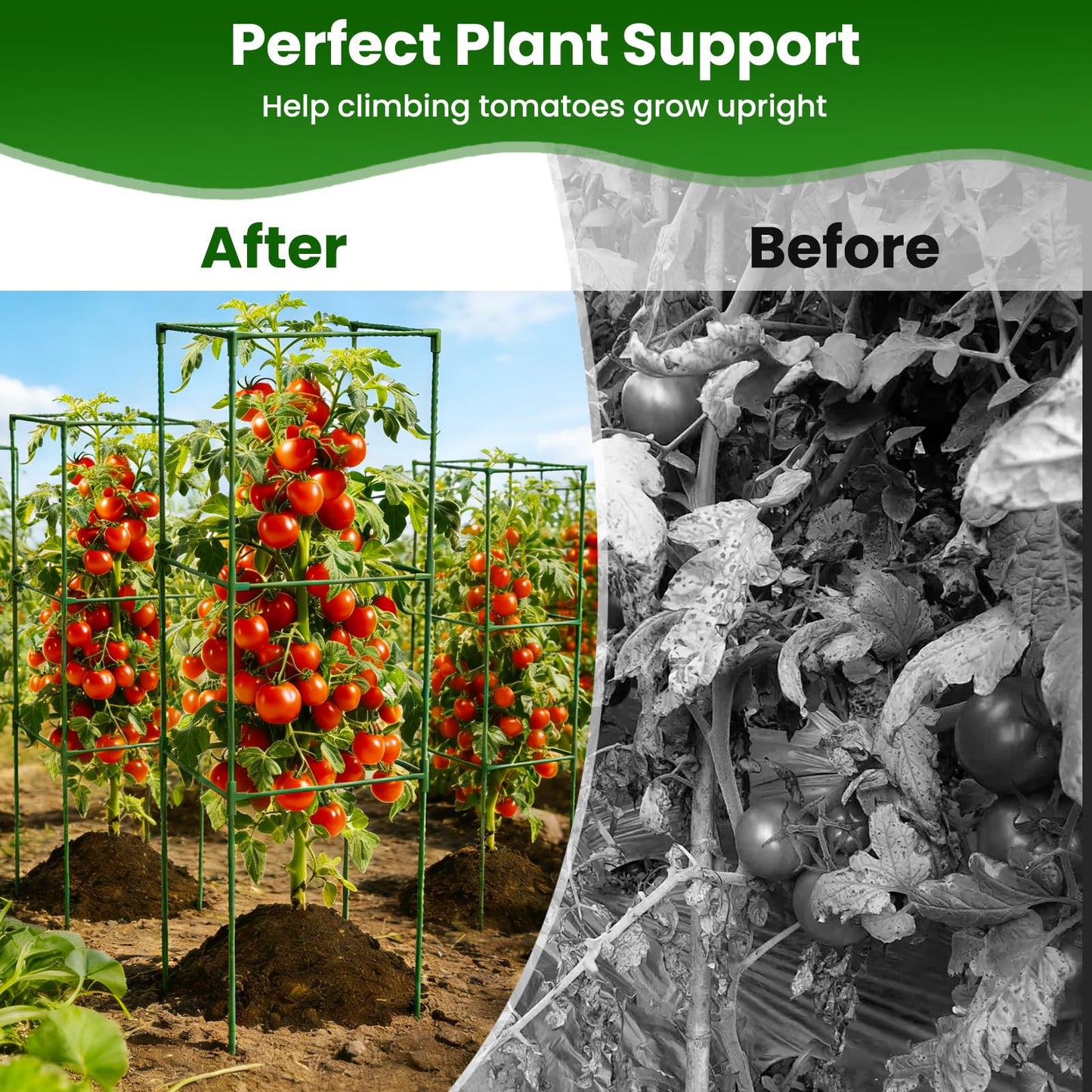 4 Pack Tomato Cages, 48'' Tall Tomato Plant Stakes Support for Raised Garden Bed Tomato, Square Trellis Cages for Garden Climbing Vegetables Flowers Fruits