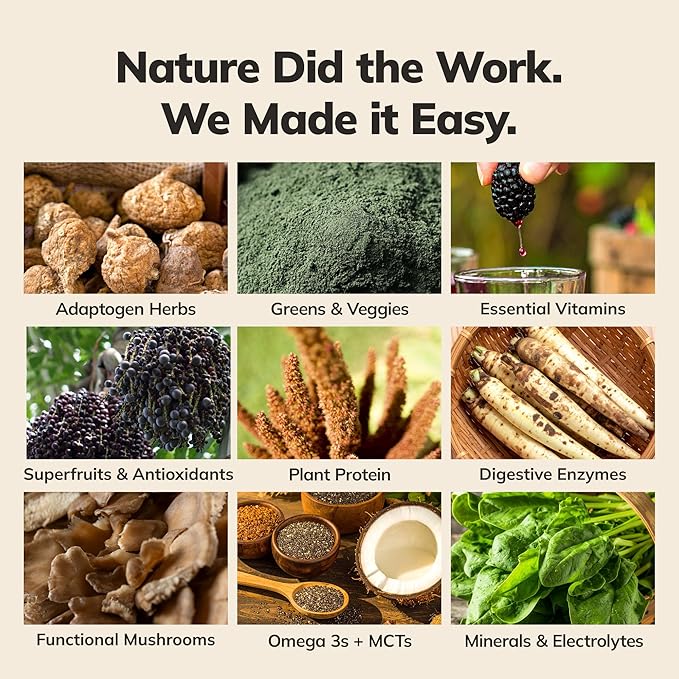 Ka?™Chava Whole Body Meal Shake Chocolate 2 lb ??Vegan Protein Powder with 85+ Superfoods & Greens ??Plant-Based Meal Replacement with Probiotics & Digestive Enzymes ??Gluten & Dairy Free (15 Servings)