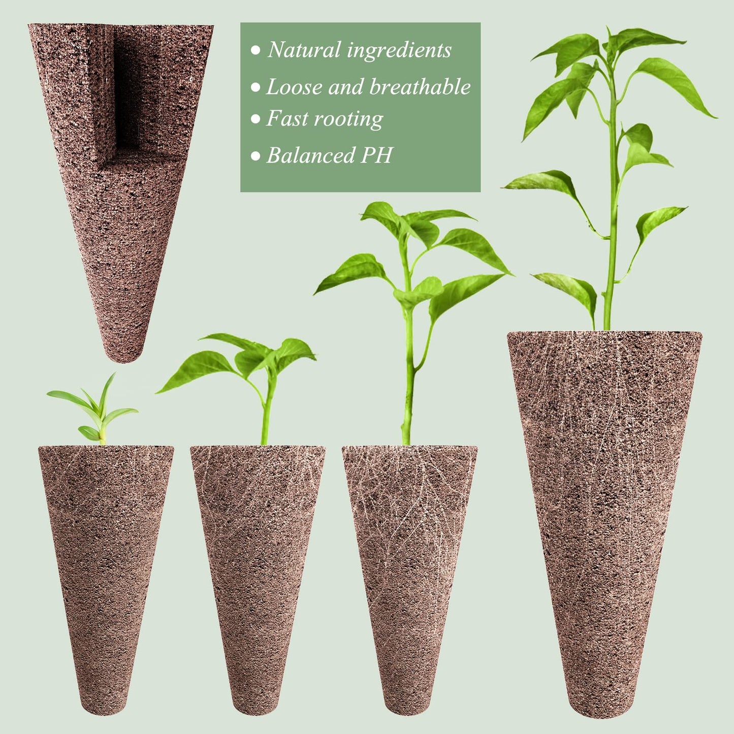 Tigvio 50 Piece Hydroponic Pods Kit: Grow Anything with 50 Grow Sponges - Compatible with All Hydroponics Brands