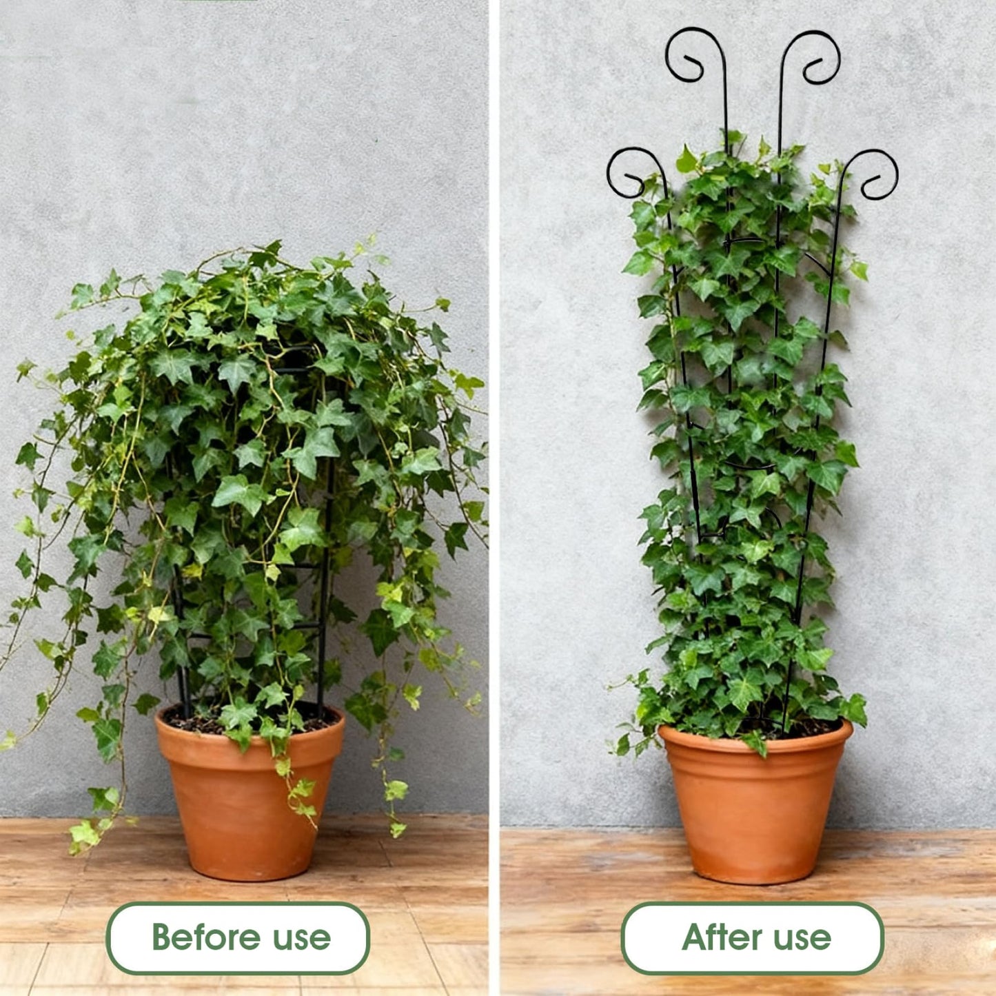 Trellis for Climbing Plants Indoor, 2 Pack Black Metal Trellis for Potted Plants, Adjustable Indoor Plant Support Monstera, Pothos, Ivy (32.7 Inch Tall) for Climbing