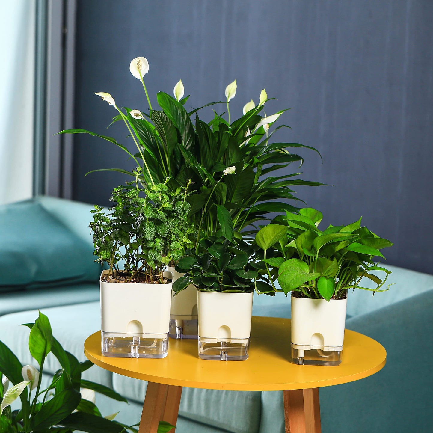 Planterhoma Self Watering Plant Pots for Indoor Plants 7/10 inch, 2 Packs Rectangle Self-Watering Planters with Drainage Hole, White African Violet Pots for Devil's Ivy, Spider Plant, Orchid, Herb