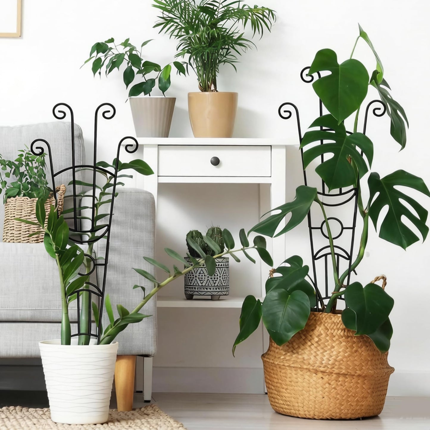 Trellis for Climbing Plants Indoor, 2 Pack Black Metal Trellis for Potted Plants, Adjustable Indoor Plant Support Monstera, Pothos, Ivy (32.7 Inch Tall) for Climbing