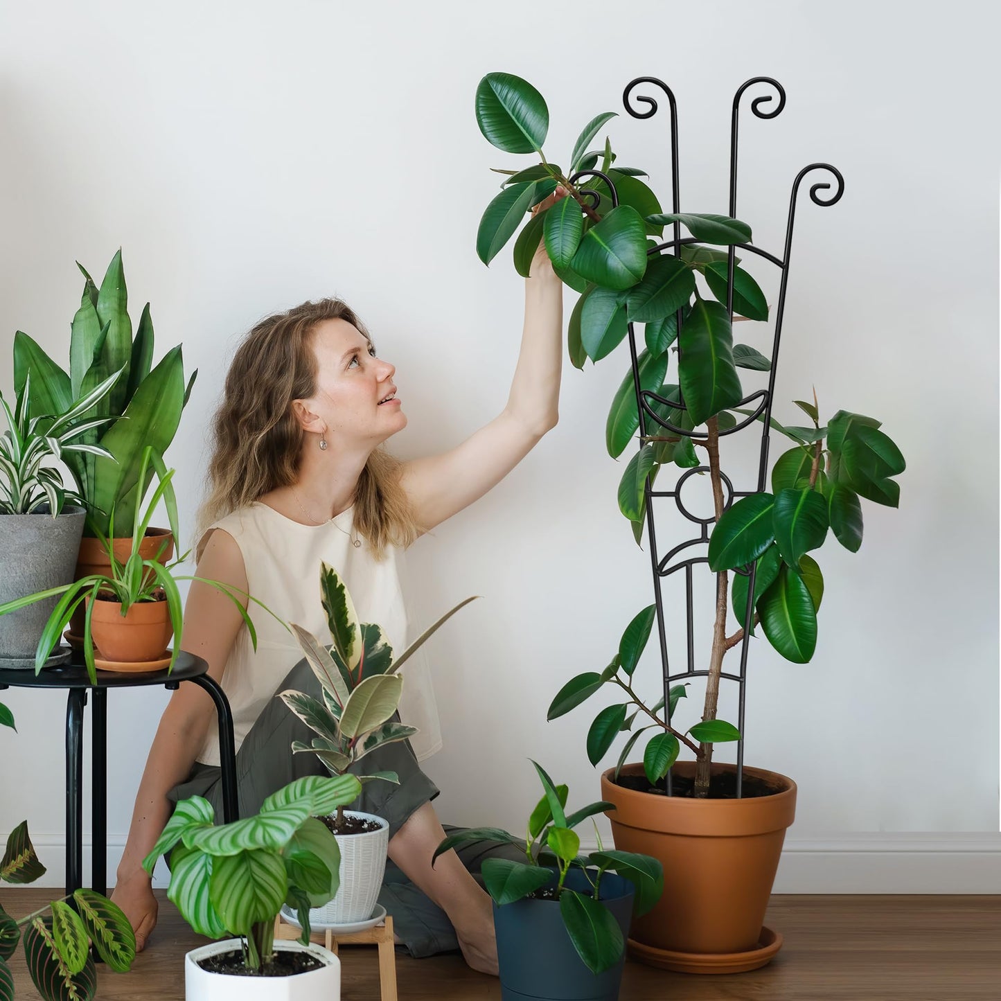 4(Four) Indoor Plant Trellis for Climbing Plants, 2(Two) 32.6in Plant Trellis for Climbing Plants Indoor Outdoor, 2(Two) 31.8in Heay Duty Cactus Trellis for Potted Plants