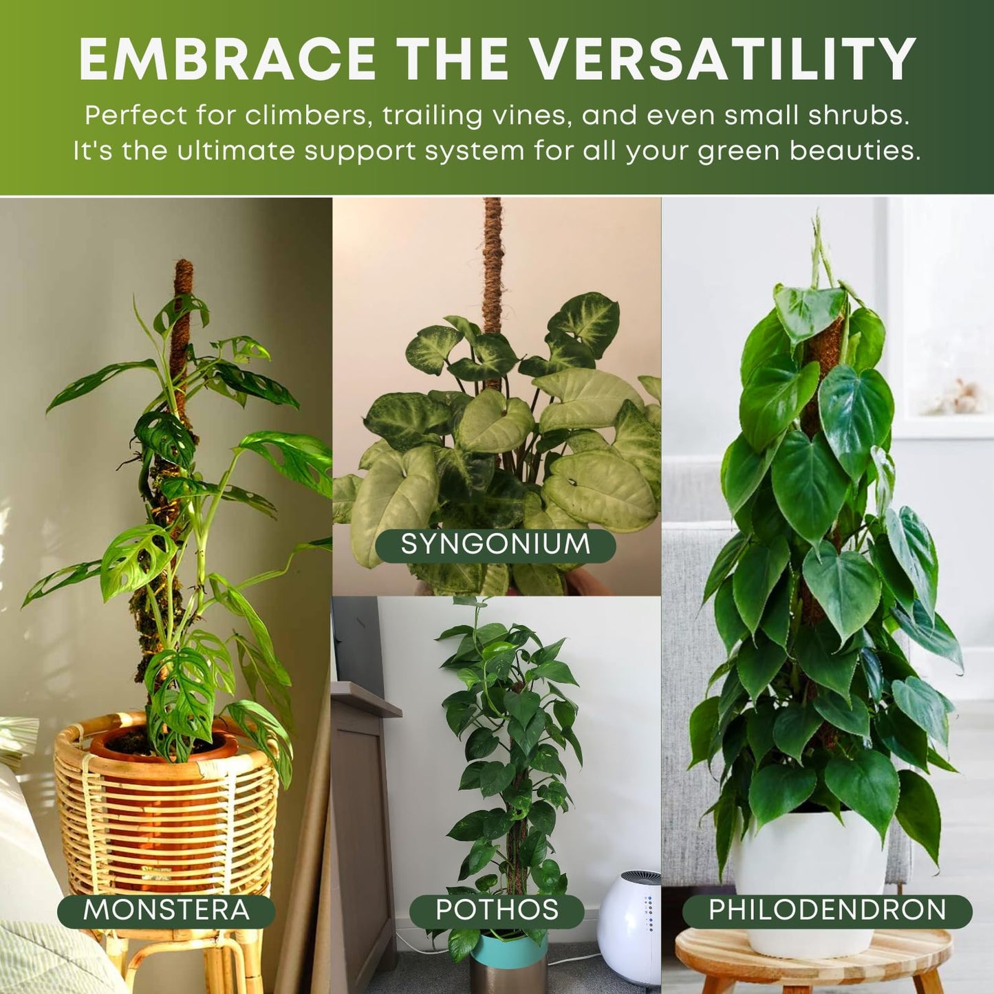 Auraville Moss Pole Monstera Plant Support | 60 Inch Plant Stakes for Indoor Plants | Coconut Palm Fiber Moss Poles for Climbing Plants | Handmade Plant Sticks Support Tall Monstera, Pothos & More