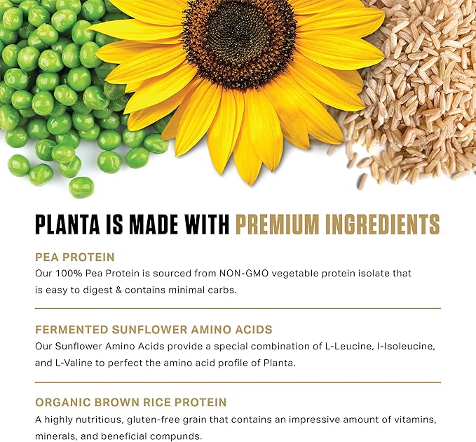 Ambrosia Planta - Premium Plant-Based Protein | Vegan & Keto Friendly | Gourmet Flavors with No Bloating or Stomach Upset | Gluten & Soy Free | No Added Sugar | 25 Servings | Cinnamon Roll
