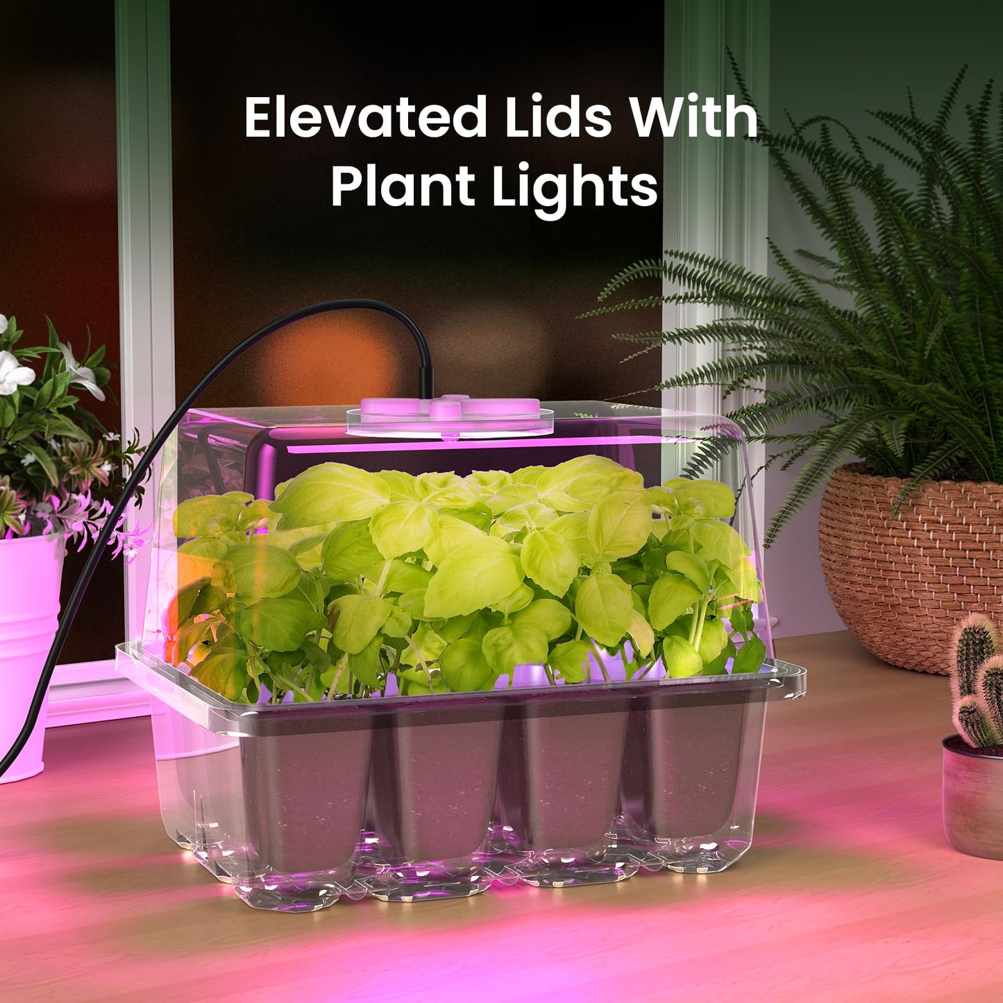MIXC Seed Starter Kit with Grow Light, Elevated Seedling Tray Kit with Adjustable Humidity Dome and Clear Cell Tray, 12 Full Spectrum Led Beads for Seed Starting Greenhouse, 4 Pack, Transparent