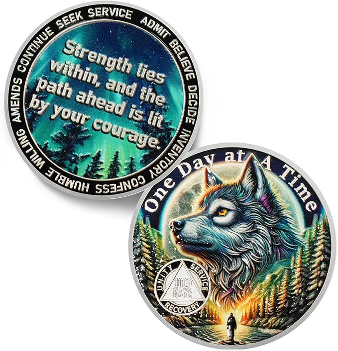 One Day at a Time 1000 Day Sobriety Coin - Recovery Aurora Forest Wolf AA Coins - Addiction NA AA Chips and Medallions - Celebrate 1-30 Living Clean Sober Alcoholics Anonymous Gifts for Men Women