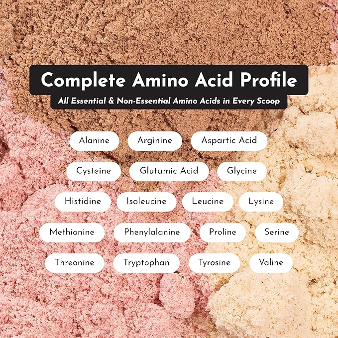 JUST INGREDIENTS Chocolate Protein Powder ??20-Serving Blend with 100% Grass-Fed Whey & Organic Plant Proteins ??Rich Cocoa Flavor ??Supports Muscle Recovery, Energy*