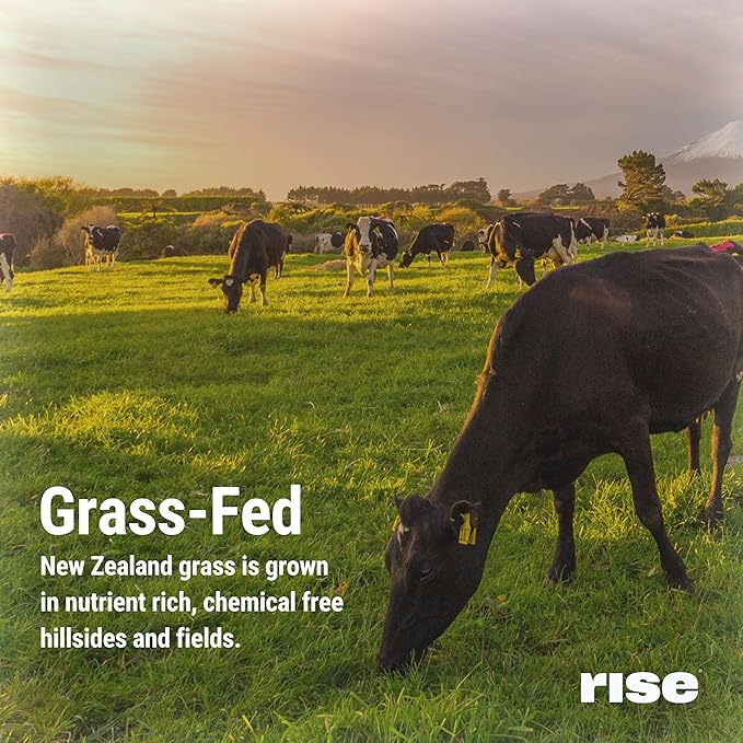 Rise Grass-Fed Whey Protein Powder - Chocolate Almond | 25g Protein No Artificial Flavors, Colors, or Preservatives - Sugar Free, Gluten-Free, Soy Free (2.4 lbs)