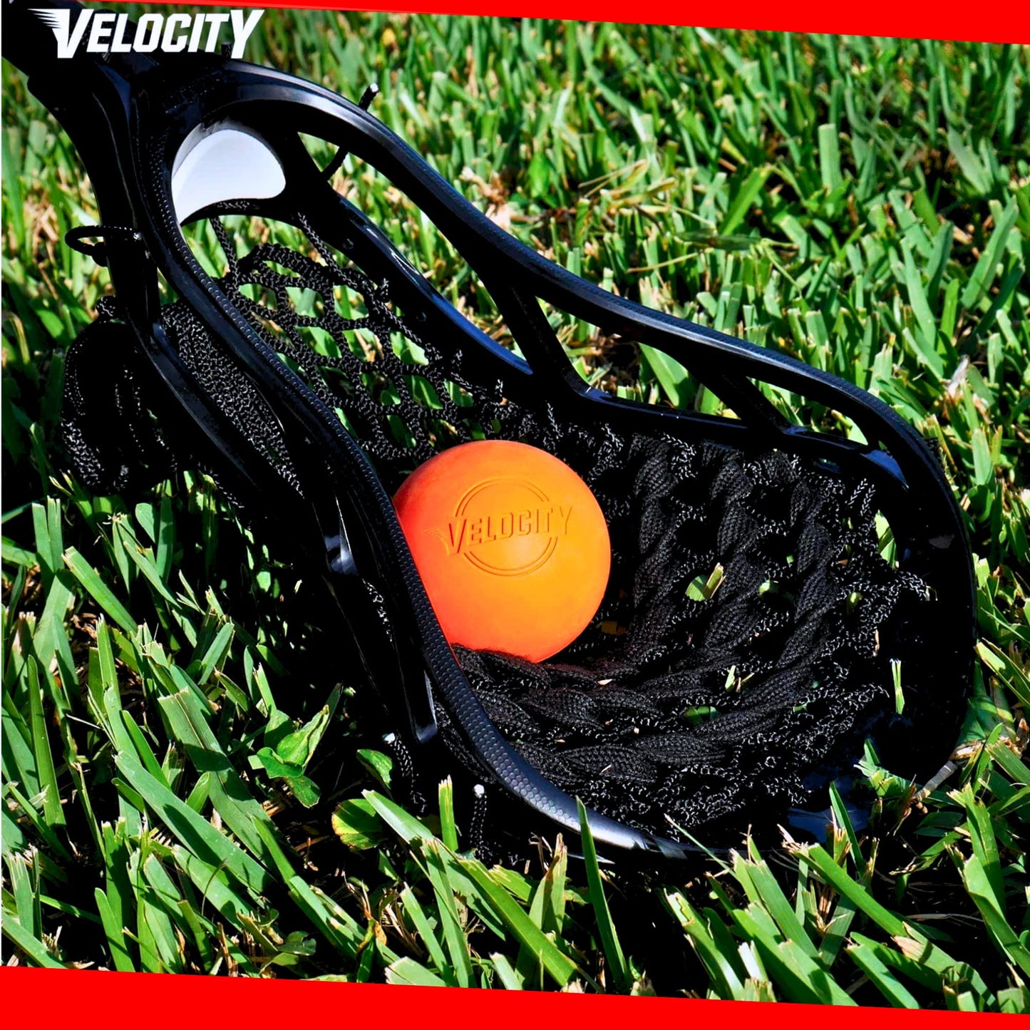 Velocity Practice Lacrosse Balls - 1, 2, 3, 6, 12, 18, 24, 36, 60 and 120 Packs - Official Size and Weight - Purple