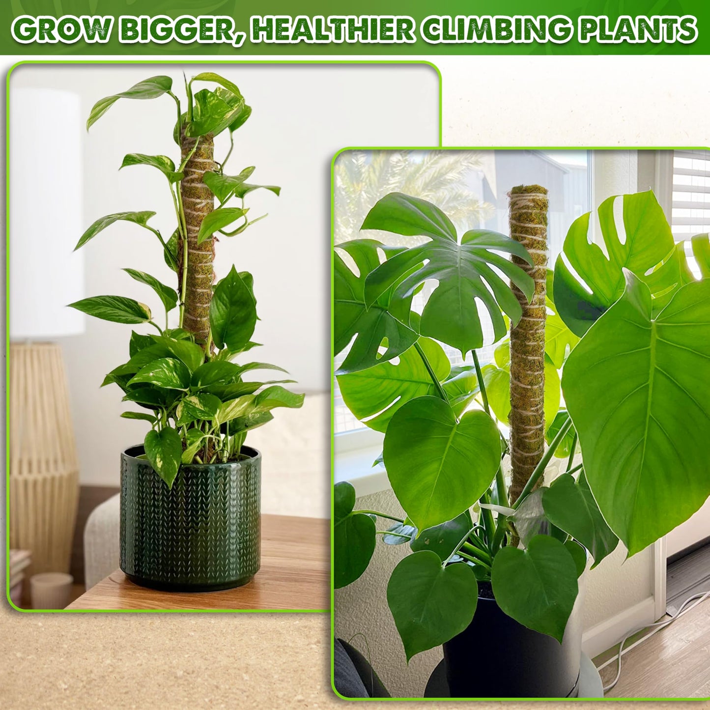 DUSPRO Natural Stackable Moss Pole for Plants Monstera Potted Plant Stakes for Indoor Plants Extendable Plant Pole Moss Sticks for Plants Climbing Vine Supporting Monstera Trellis 10Pcs 22''