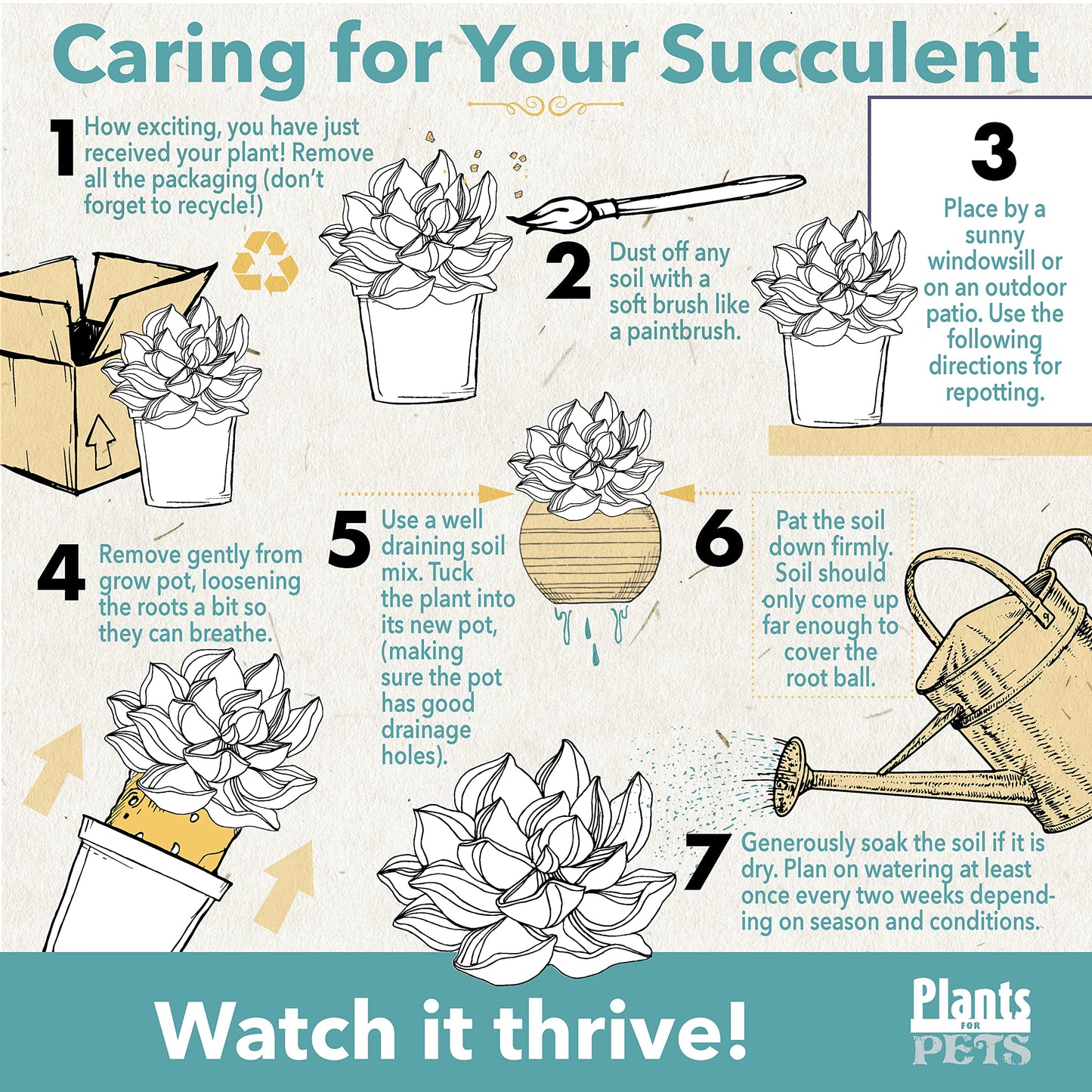 Live Aloe Plant Succulents, Star Aloe Plants Live with White Planter, Succulents Plants Live in Potting Soil Mix, Potted Succulents Live Plants, Cactus Plants Live Succulent Plants by Plants for Pets